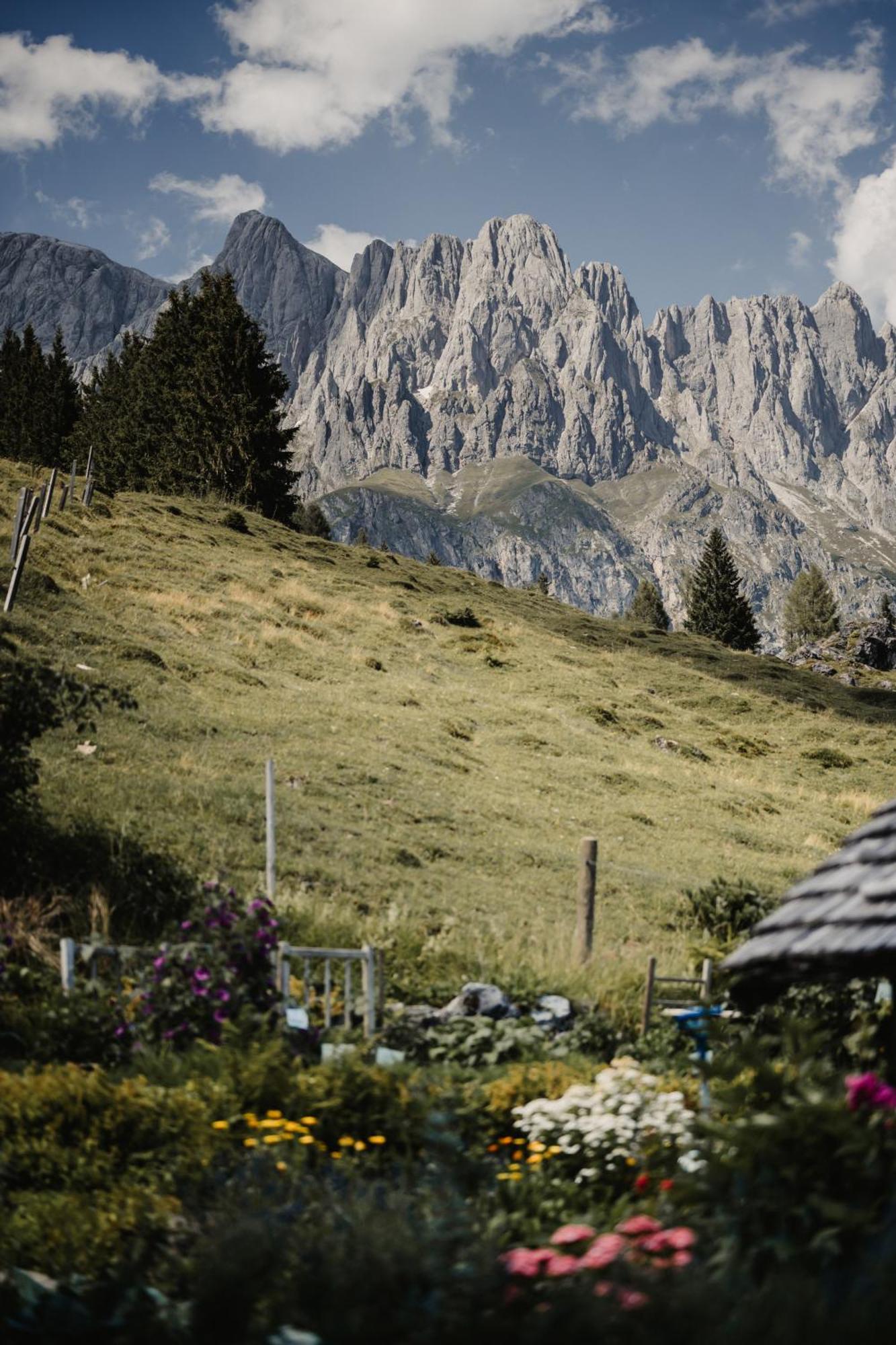 Alpengasthof-Hotel Kopphuette Muhlbach Am Hochkonig Luaran gambar